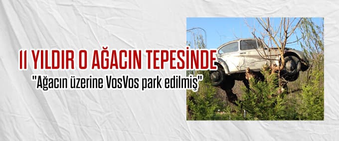 11 yıldır ağaç üstünde park halinde