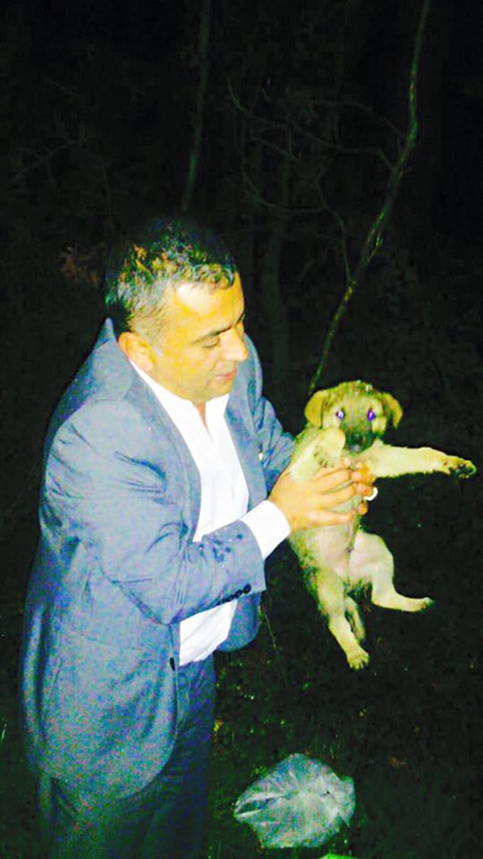 Köpek yavrularına iş adamı sahip çıktı