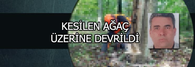 Üzerine ağaç devrilen işçi hayatını kaybetti