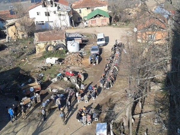 Geyve'de dev sürek avı