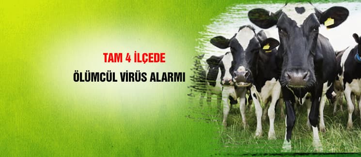 'Ölümcül virüs alarmı'