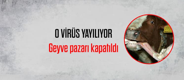 Geyve'de hayvan pazarı kapatıldı