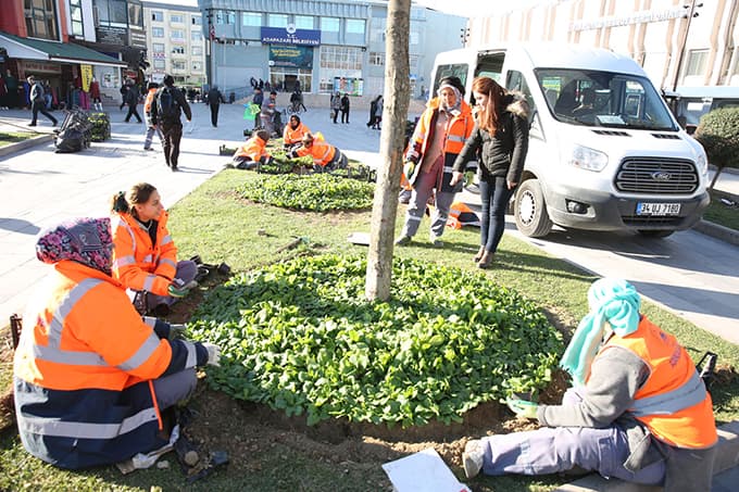 Şehir mevsimlik çiçeklerle renklenecek 