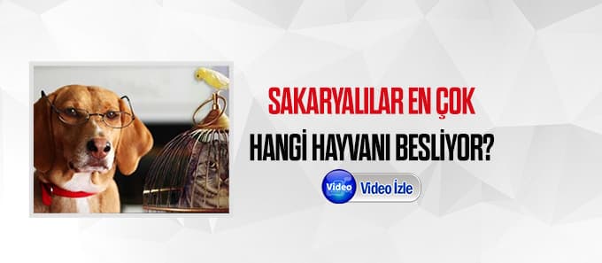 Sakaryalılar en çok hangi hayvanı besliyor?