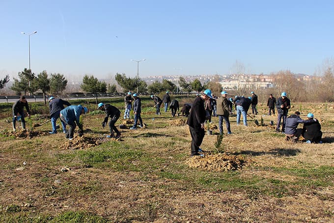 SASKİ 480 selvi fidanı dikti