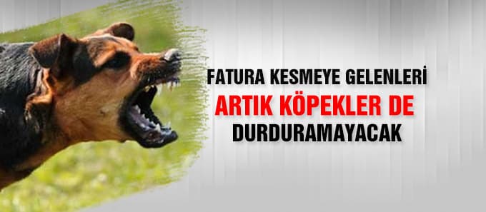 Fatura kesmeye gelenleri artık köpeklerde durduramayacak
