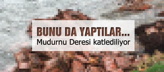 Bunu da yaptılar...