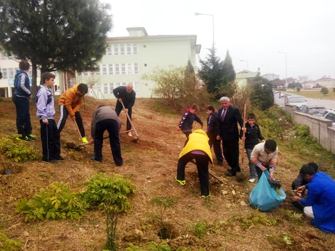Okul bahçesini ağaçlandırdılar