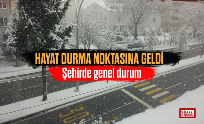 Hayat durma noktasına geldi