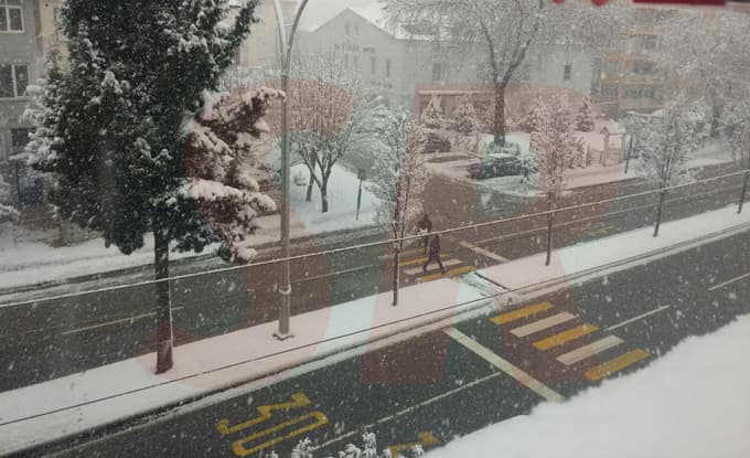 Hayat durma noktasına geldi