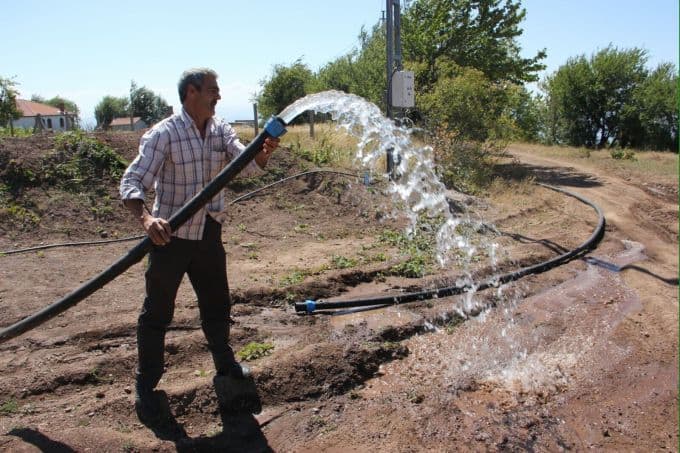Torun acısına fazla dayanamadı
