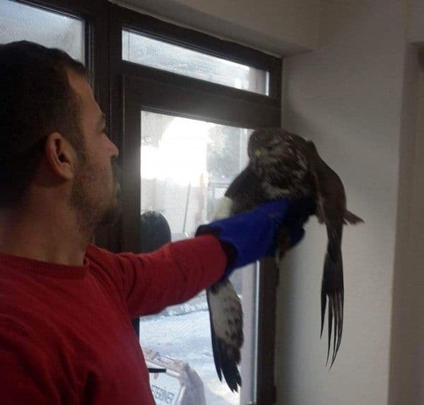 Av olmaktan son anda kurtarıldı