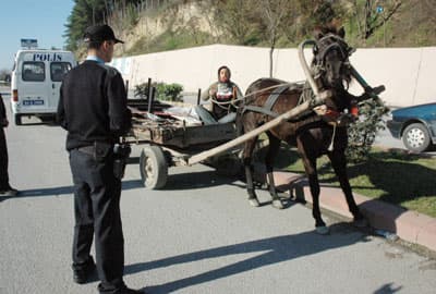 At Arabalı Hırsızlar Polisten Kaçamadı