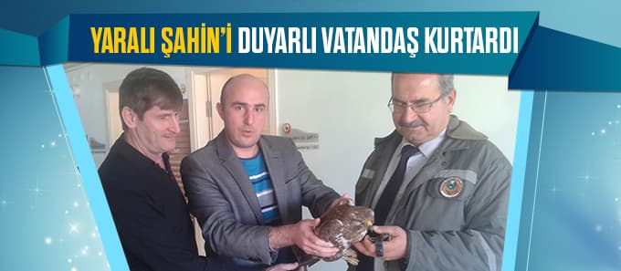 Yaralı Şahin'i duyarlı vatandaş kurtardı