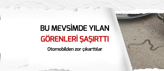 Otomobile giren yılanı vatandaşlar çıkardı