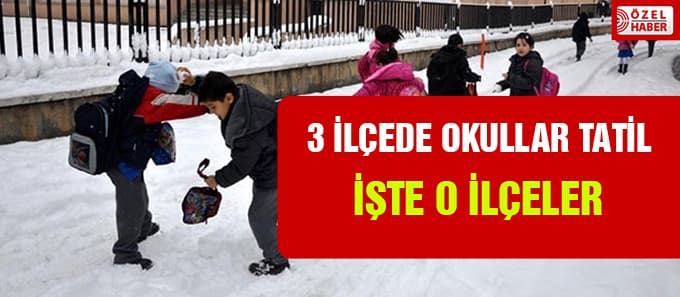 Üç ilçede okullar tatil edildi; İşte o ilçeler