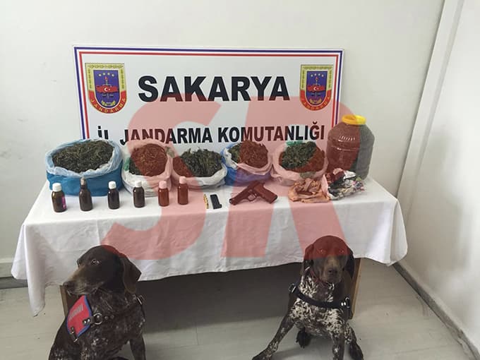 Hendek'te uyuşturucuya büyük darbe