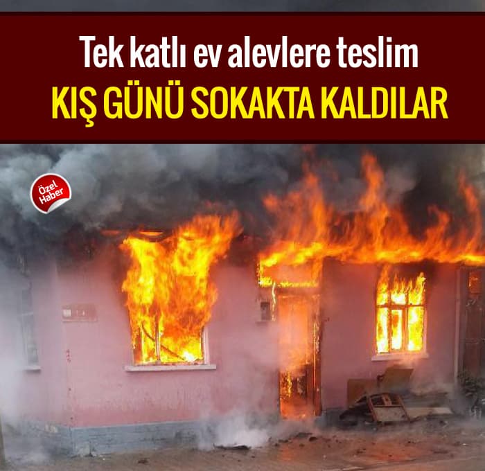 Tek katlı ev alevlere teslim