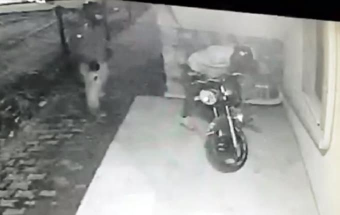 Motosiklet hırsızları kameralara yakalandı