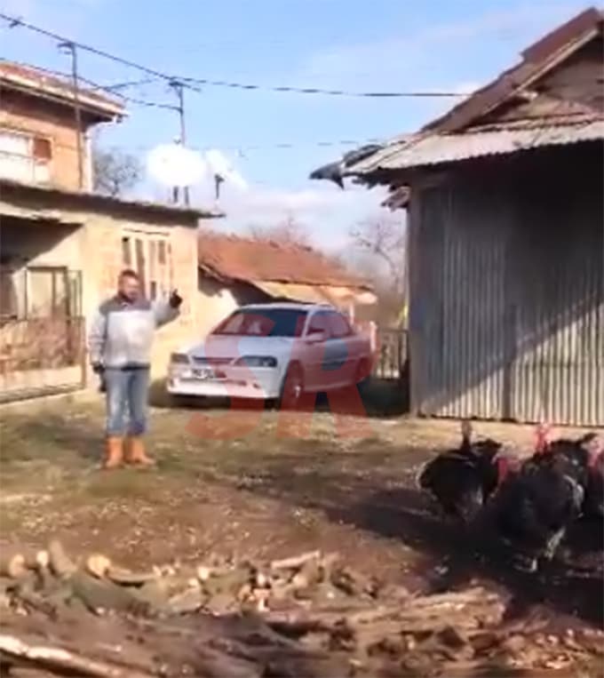 Hindilerden içtima alıyor