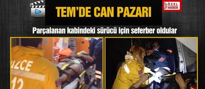 TEM'de can pazarı 