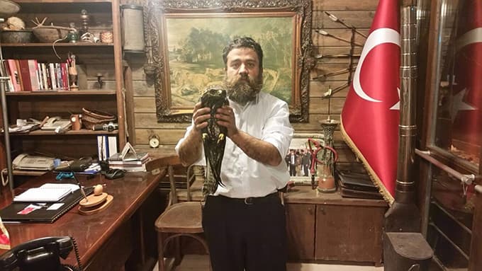 Ormanda bulduğu yaralı şahini besleyip teslim etti