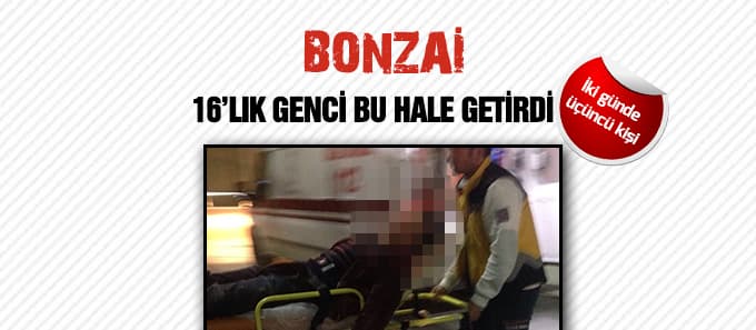 Bonzai içti bu hale geldi