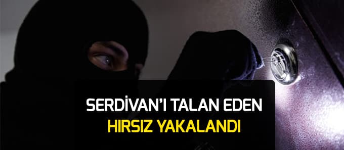 Serdivan'ı talan eden hırsız yakalandı