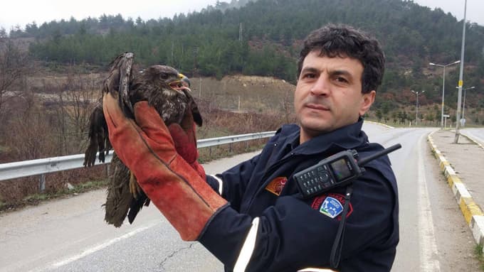 Yaralı doğanı itfaiyeciler buldu