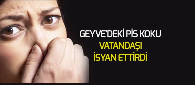 Geyve'deki pis koku vatandaşı isyan ettirdi