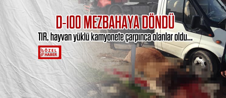 D-100 karayolu mezbahaya döndü