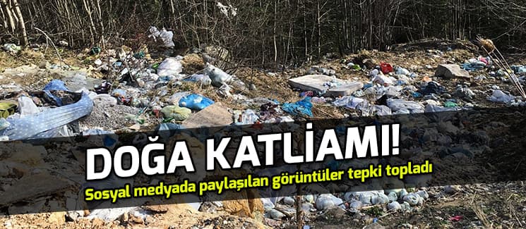 Doğayı böyle katlediyorlar