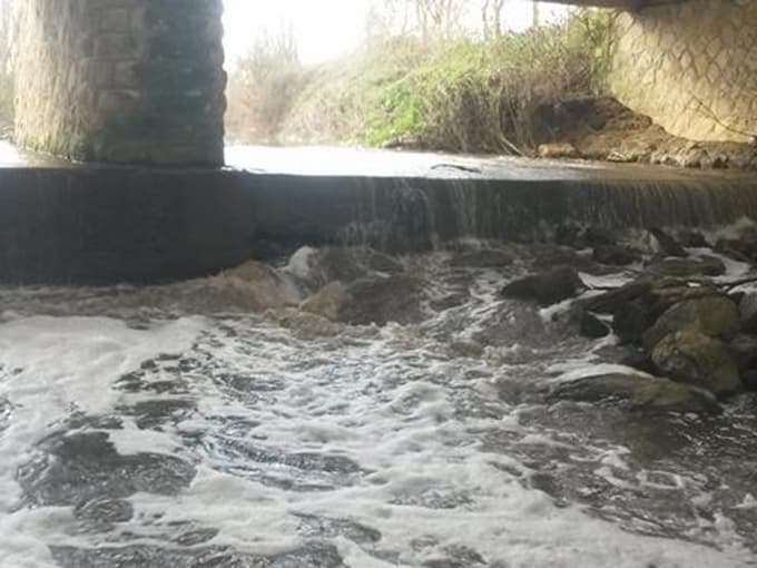 Longozu besleyen deredeki kirlilik endişelendiriyor