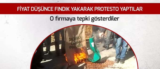 Fiyatın düşmesini fındık yakarak protesto ettiler