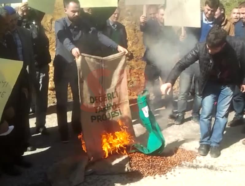 Fiyatın düşmesini fındık yakarak protesto ettiler