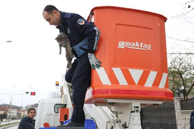 Ağaçta mahsur kalan kedi kurtarıldı