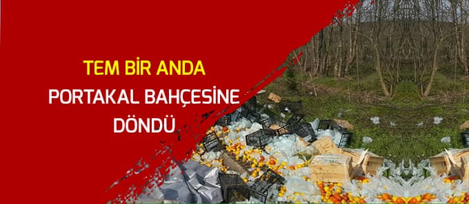 TEM'de kaza; portakallar etrafa saçıldı