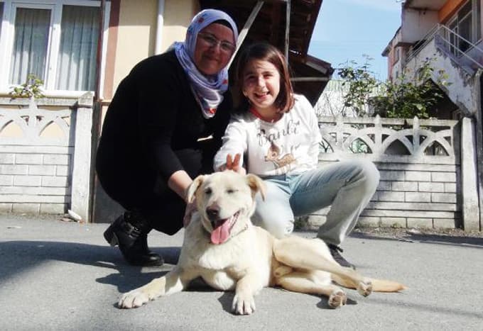 Köpeği tekmeleyip elektroşok verdiler