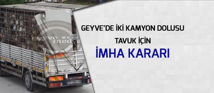Geyve'de iki kamyon dolusu tavuğa imha kararı