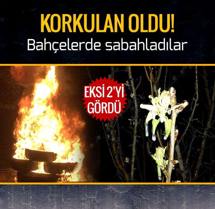 Geyve'de korkulan oldu!