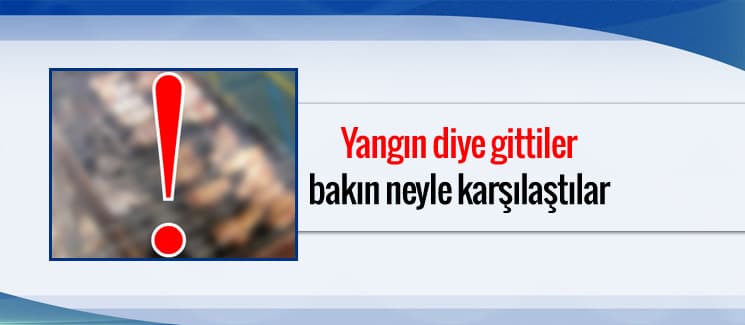 Yangın diye gittiler, bakın neyle karşılaştılar!