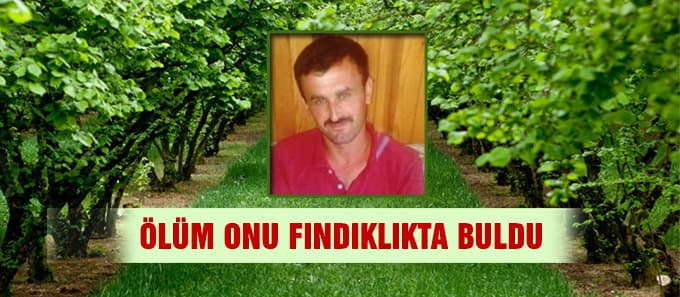 Kestiği ağacın altında kaldı