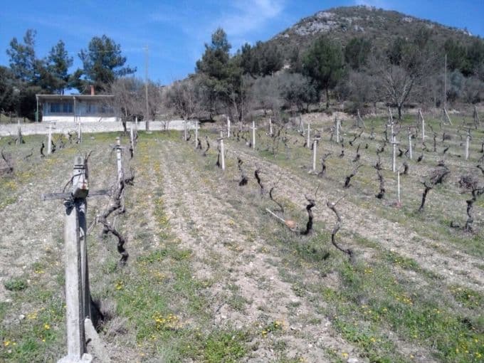 İnşaat, yolunu kapattı