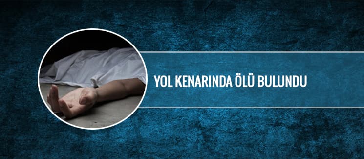 Yol kenarında ölü bulundu