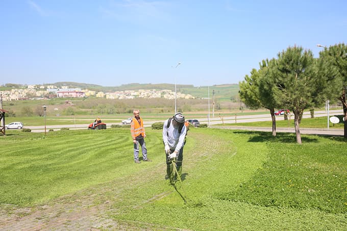 Yeşil alanlarla çimler biçiliyor