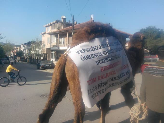 Develi kermes tanıtımı