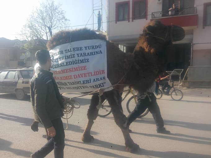 Develi kermes tanıtımı