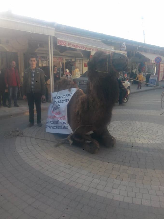Develi kermes tanıtımı