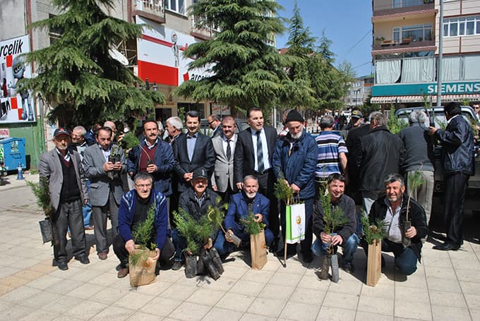 Kocaali'de fidan dağıttılar