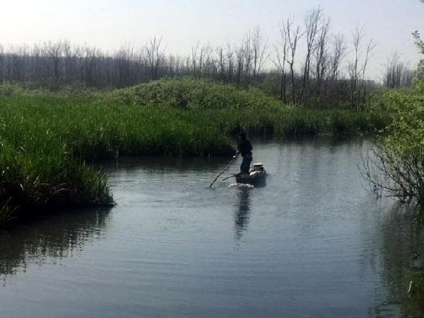 Jandarma, kaçak avcıya önce ceza yazdı, sonra da...